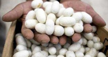 تعرفه جدید واردات نخ ابریشم در سال ۱۳۹۷