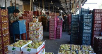 بسته بندی میوه صادراتی